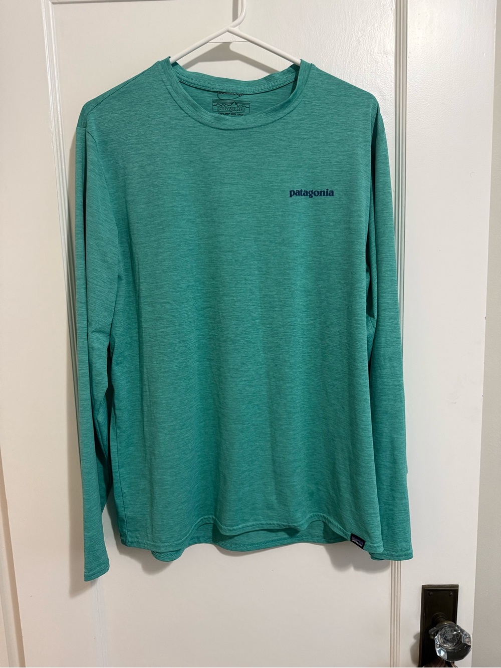 Patagonia Long-Sleeve Crew in Teal Green